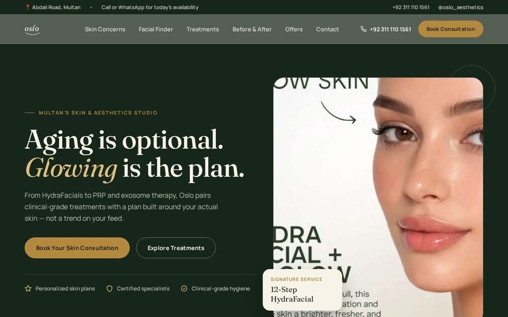 Oslo Aesthetics website preview
