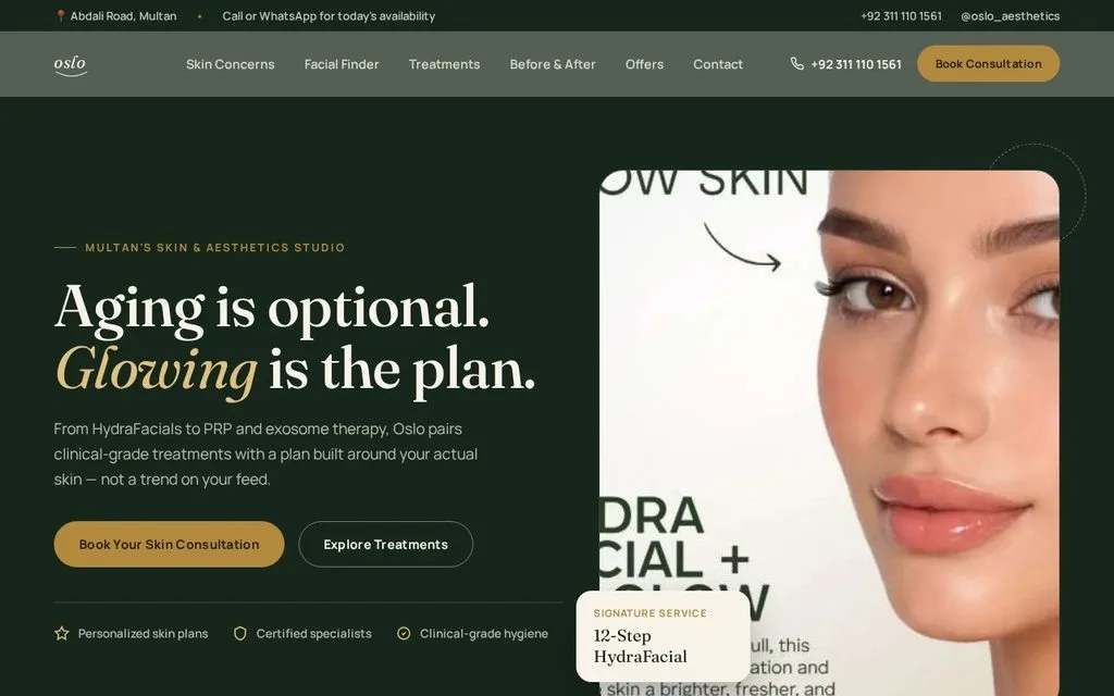 Oslo Aesthetics website preview